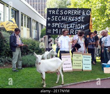 Bauerngewerkschaft (('Confederation paysanne') demonstrieren mit Ziegen vor den Verhängung Büros in Lyon, Frankreich am 17. Juni 2011. Um Gebühren wegen Trockenheit zu reduzieren. Fotos von Vincent Dargent/ABACAPRESS.COM Stockfoto