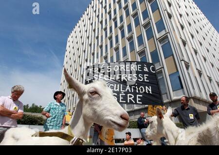 Bauerngewerkschaft (('Confederation paysanne') demonstrieren mit Ziegen vor den Verhängung Büros in Lyon, Frankreich am 17. Juni 2011. Um Gebühren wegen Trockenheit zu reduzieren. Fotos von Vincent Dargent/ABACAPRESS.COM Stockfoto