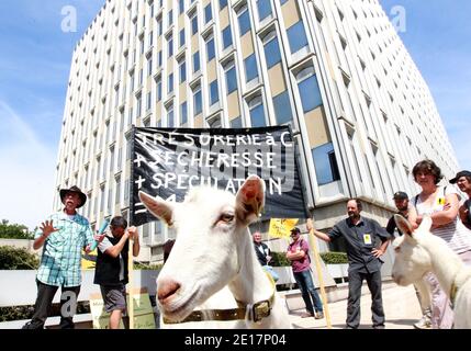 Bauerngewerkschaft (('Confederation paysanne') demonstrieren mit Ziegen vor den Verhängung Büros in Lyon, Frankreich am 17. Juni 2011. Um Gebühren wegen Trockenheit zu reduzieren. Fotos von Vincent Dargent/ABACAPRESS.COM Stockfoto