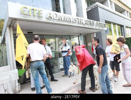 Bauerngewerkschaft (('Confederation paysanne') demonstrieren mit Ziegen vor den Verhängung Büros in Lyon, Frankreich am 17. Juni 2011. Um Gebühren wegen Trockenheit zu reduzieren. Fotos von Vincent Dargent/ABACAPRESS.COM Stockfoto