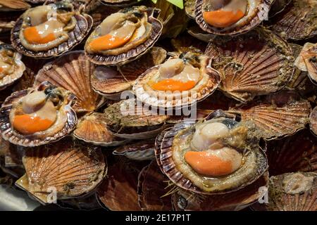 Frische Jakobsmuscheln zum Verkauf auf einem Markt in Deauville, Normandie Stockfoto