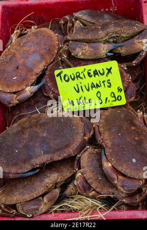 Live Krabben zum Verkauf auf einem Markt in Deauville, Normandie Stockfoto