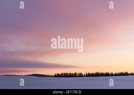 Prairie Sonnenuntergang im Winter über schneebedeckten Feld, Bäume am Horizont Stockfoto