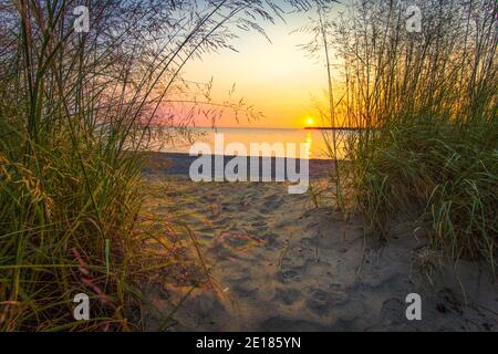 Morning Lake Sonnenaufgang Landschaft. Wunderschöner sandiger Sonnenaufgangspfad zum Strand, umgeben von Dünengras an der Küste des Lake Huron in Port Huron, Michigan. Stockfoto