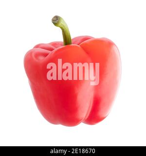 Rote Paprika isoliert auf weißem Hintergrund. Volle Schärfentiefe mit Beschneidungspfad. Stockfoto