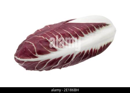 Rote Chicory isoliert auf weißem Hintergrund. Volle Schärfentiefe mit Beschneidungspfad. Stockfoto