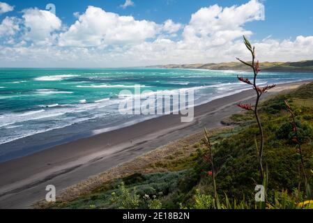 Panorama des Strandes von Ngarunui, perfekter Surfspot in Raglan, Waikato, Neuseeland Stockfoto