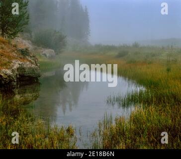 Nebel, Snake River, Rockefeller Memorial Parkway, Yellowstone National Park, Wyoming Stockfoto