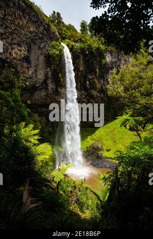 Bridal Veil Falls, ein 55m hoher Wasserfall in Raglan, Waikato, Neuseeland Stockfoto