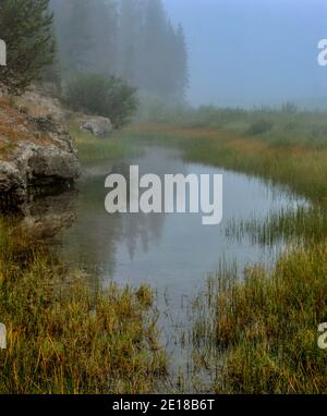 Nebel, Snake River, Rockefeller Memorial Parkway, neben dem Yellowstone National Park, Wyoming Stockfoto