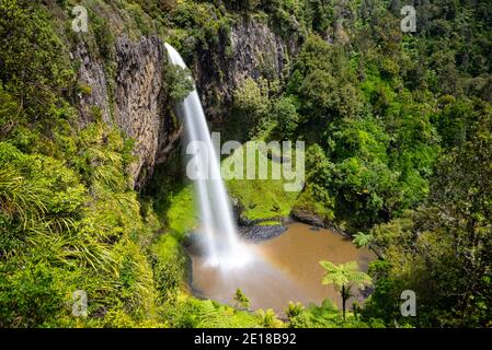 Bridal Veil Falls, ein 55m hoher Wasserfall in Raglan, Waikato, Neuseeland Stockfoto