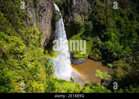 Bridal Veil Falls, ein 55m hoher Wasserfall in Raglan, Waikato, Neuseeland Stockfoto