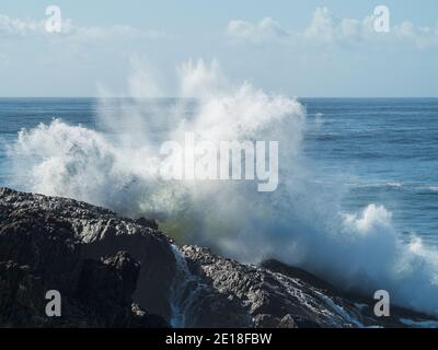 Wellen, die in die Felsen von Bonville Headland, Sawtell, NSW Australien, Pazifik, wilde Natur einstürzen und über ihnen krachen. Stockfoto