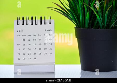 Weißer Kalender März 2021 mit grünen Hintergründen und Topfpflanze Stockfoto