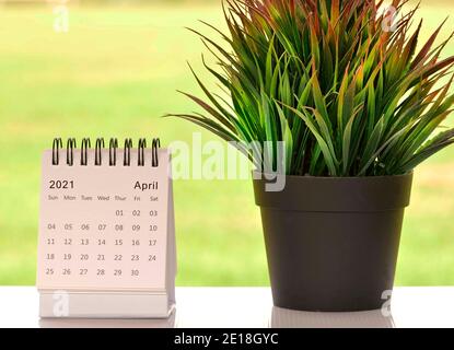 Weiß April 2021 Kalender mit grünen Hintergründen und Topfpflanze Stockfoto