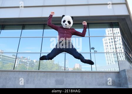 Der junge Geschäftsmann trägt eine Panda-Kopfmaske und springt vor das Firmengebäude. Bizarrer Geschäftsmann. Stockfoto