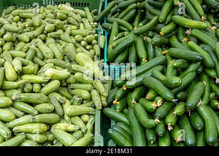 Gurken und Gurken zum Verkauf auf einem Markt Stockfoto