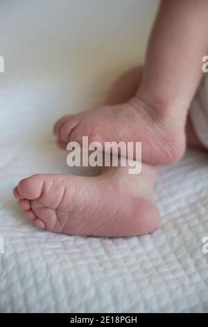 Kleine Füße eines Neugeborenen aus nächster Nähe. Die ersten Tage des Lebens eines Babys. Vertikale Aufnahme. Stockfoto