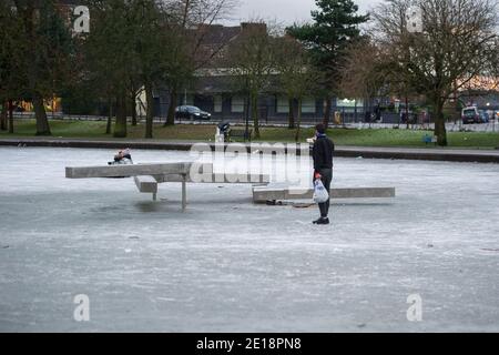 Glasgow, Schottland, Großbritannien. Januar 2021. Im Bild: Ein Einheimischer fotografiert die zerbrochene Skulptur. Queens Park in Shawlands, der heute Morgen nur wenige Menschen im Park und auf dem Eis zeigt, bildet einen deutlichen Kontrast zu den Szenen von gestern, in denen Hunderte von Menschen auf dem Eis, Schlittschuhlaufen, Hockey spielen und um den Park herum zu sehen waren. Ab 00:01 Uhr heute Morgen wurde Schottland erneut gesperrt, wie es die Ansprache des schottischen Ersten Ministers gestern um 14:00 Uhr erklärte. Quelle: Colin Fisher/Alamy Live News. Stockfoto