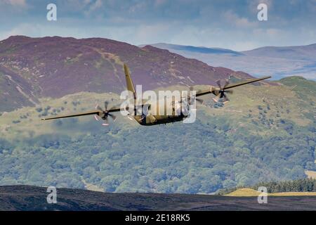 Lockheed C-130 Hercules fliegt tief in Tälern und Bergen. Grüne getarnte Truppe und Frachttransporter. Stockfoto