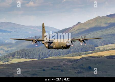 Lockheed C-130 Hercules fliegt tief in Tälern und Bergen. Grüne getarnte Truppe und Frachttransporter. Stockfoto