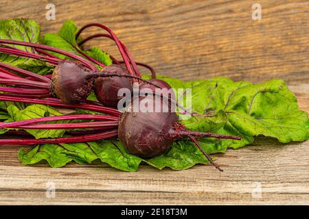 Rote Bete Knollen mit grünen Blättern auf Holztisch. Zubereitung von frischem Salat. Frisches Gemüse für vegetarische Küche. Rüben auf dem Straßenmarkt. Stockfoto