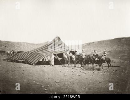 Vintage 19th century Photograph - Beduinen Lager in der desrt, Nordafrika, Algerien. Stockfoto