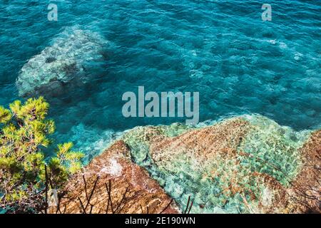 Sauberes klares Wasser und gute Sicht am Boden - Steine im Teich Stockfoto