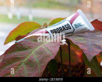 GOMEL, WEISSRUSSLAND - 5. JANUAR 2021: PRORASO Reparatur Gel. Proraso ist eine Marke für Körperpflege und Pflege, die dem italienischen Unternehmen Ludovico Martelli gehört. Stockfoto