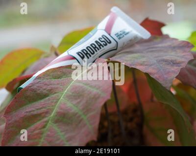 GOMEL, WEISSRUSSLAND - 5. JANUAR 2021: PRORASO Reparatur Gel. Proraso ist eine Marke für Körperpflege und Pflege, die dem italienischen Unternehmen Ludovico Martelli gehört. Stockfoto