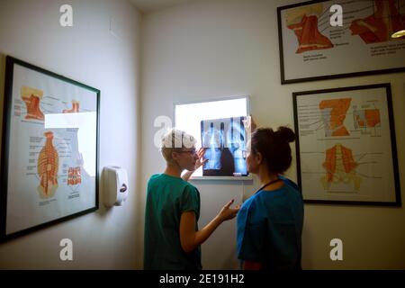 Rückansicht von zwei professionellen Krankenschwestern, die Röntgen kontrollieren und in einer Arztpraxis beraten. Stockfoto