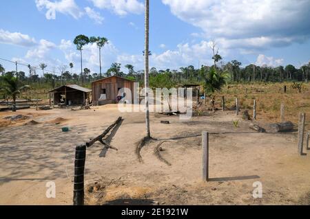 Die Auswirkungen der Entwaldung auf den Amazonas-Regenwald in Brasilien Stockfoto