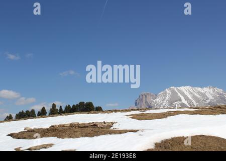 Blick auf die Berge über die seiser alm an einem sonnigen Tag Im Spätwinter mit schmelzendem Schnee Stockfoto