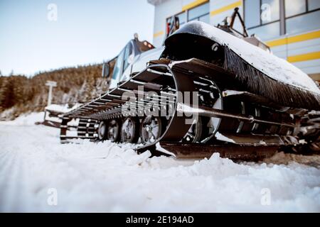 Nahaufnahme eines speziellen Schneehuhrs mit der Raupe auf dem Schnee im Winter. Stockfoto