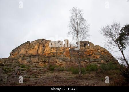 Halberstadt, Deutschland. Dezember 2020. In der Klusberge bei Halberstadt entstehen bizarre Felsformationen. Die Gebirgskette am Fuße des Harzes sieht aus wie das Elbsandsteingebirge in Miniatur. Mehrere Sandsteinfelsen enthalten Höhlenkammern, die erstmals 1070 in Dokumenten erwähnt wurden. Im 16. Jahrhundert war in den Klusbergen der Tradition nach eine "Bruderschaft der Hirten und Hirtenkinder" aktiv. Quelle: Stephan Schulz/dpa-Zentralbild/ZB/dpa/Alamy Live News Stockfoto