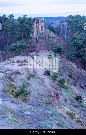 Halberstadt, Deutschland. Dezember 2020. Der fünffingerige Felsen in der Klusberge bei Halberstadt. Die Gebirgskette am Fuße des Harzes sieht aus wie das Elbsandsteingebirge in Miniatur. Mehrere Sandsteinfelsen enthalten Höhlenkammern, die erstmals 1070 in Dokumenten erwähnt wurden. Im 16. Jahrhundert war in den Klusbergen der Tradition nach eine "Bruderschaft der Hirten und Hirtenkinder" aktiv. Quelle: Stephan Schulz/dpa-Zentralbild/ZB/dpa/Alamy Live News Stockfoto