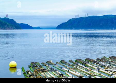 Anzeigen von Protokollen und den Saguenay Fjord in L - Anse-de-Roche, Quebec, Kanada Stockfoto