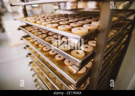 Cookie-Fabrik, Lebensmittelindustrie. Fertigung. Cookie-Produktion. Stockfoto