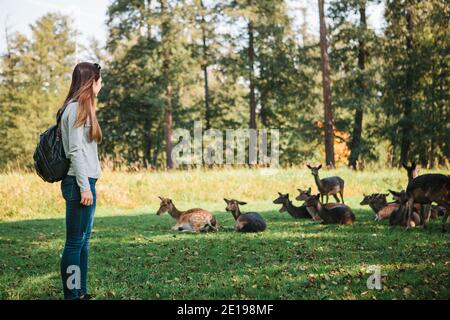 Junge schöne Mädchen reisen mit Rucksack an den wilden Rentiere grasen in der Ferne suchen Stockfoto