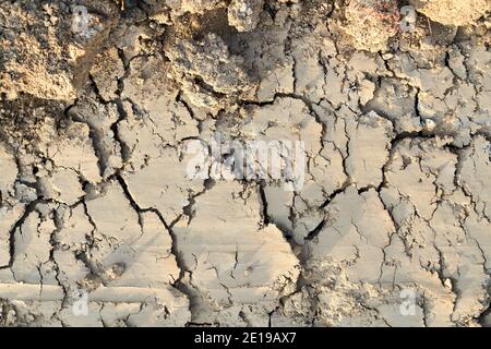 Oben Blick auf trockenen und rissigen fruchtbaren Boden auf der Erde. Konzept von Lehm. Stockfoto