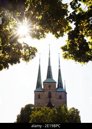 Severikirche St. Severus gotische Kathedrale mit drei Türmen Domberg dom Platz im historischen Zentrum von Erfurt Thüringen Deutschland Europa Stockfoto