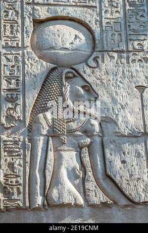 Dies ist die Basreliefsteinschnitzerei des Löwengottes Sekhmet im 180-47 v. Chr. Tempel von Kom Ombo in der Nähe des Nils, der dem Krokodilgott Sobek und dem Falken-obergott Horus gewidmet ist, berühmt für seine verzierten Steinrelieftafeln, Kunstwerke und Hieroglyphen-Geschichten. Stockfoto