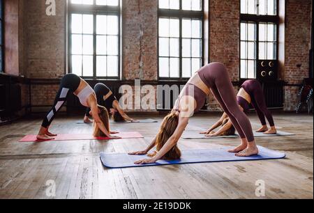 Vier Frauen machen komplexe Yoga-Asanas im Loft-Stil. Adho Mukha Svanasana - nach unten Hund Pose Stockfoto