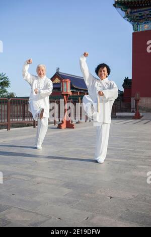 Zwei alte Leute spielen Tai Chi im Park hoch Hochwertige Fotos Stockfoto