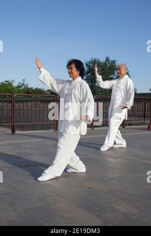 Zwei alte Leute spielen Tai Chi im Park hoch Hochwertige Fotos Stockfoto