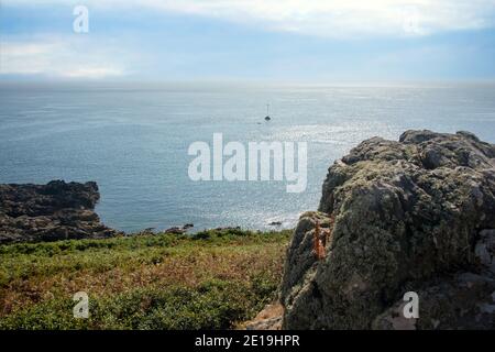 Küste und Landschaft von Guernsey, einer Kanalinsel im Ärmelkanal Stockfoto