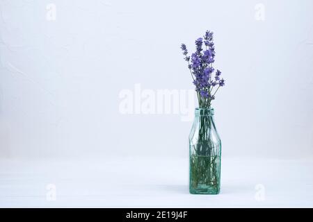 Lavendelblüten in Glasflasche auf weißem Hintergrund mit Kopierplatz für Ihren Text. Trendige getönte Foto für Ihren Blog oder Präsentation Stockfoto