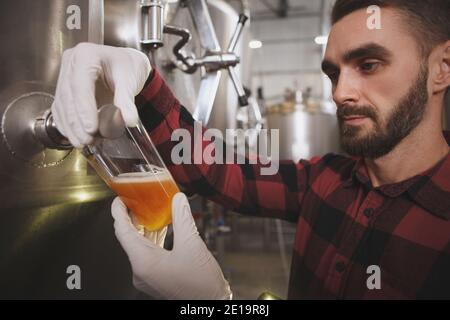 Brauer gießt frisch gebrautes Bier ins Glas und verkostet Bier in seiner Mikrobrauerei Stockfoto