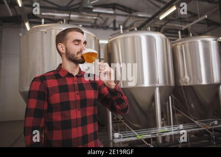 Bärtiger Brauer, der in der Mikrobrauerei frisch gebrautes Bier probiert, Metalltanks im Hintergrund Stockfoto