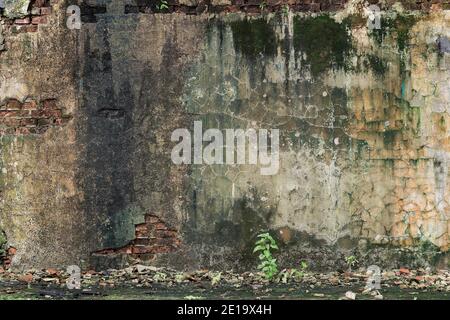 Gealterte Betonwandstruktur. Alte strukturierte Zement Grunge Wandoberfläche Hintergrundmuster mit Rissen, Kratzern, Moos und Flecken. Stockfoto